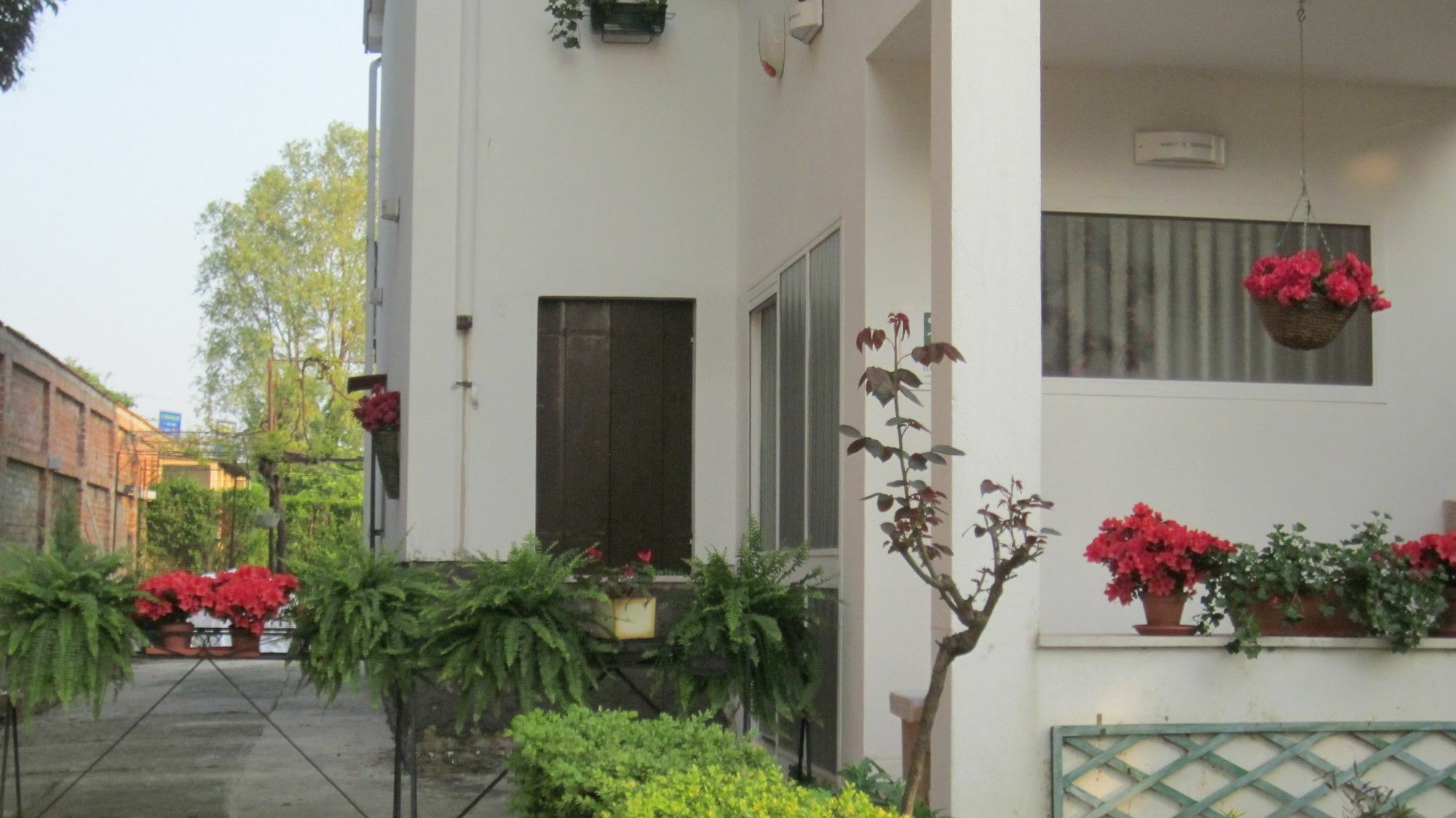 A Casa Di Dora Bed and Breakfast Treviso Eksteriør billede