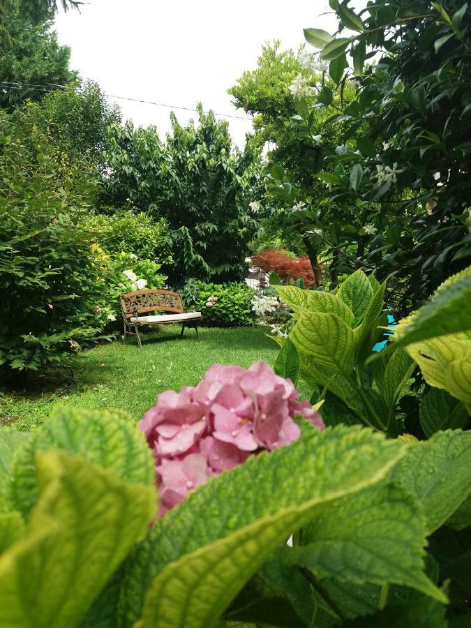 A Casa Di Dora Bed and Breakfast Treviso Eksteriør billede